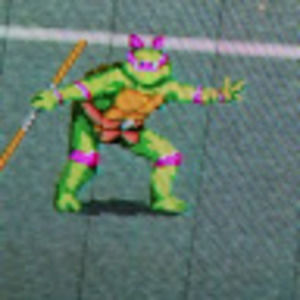 Meet your Posher, Donatello